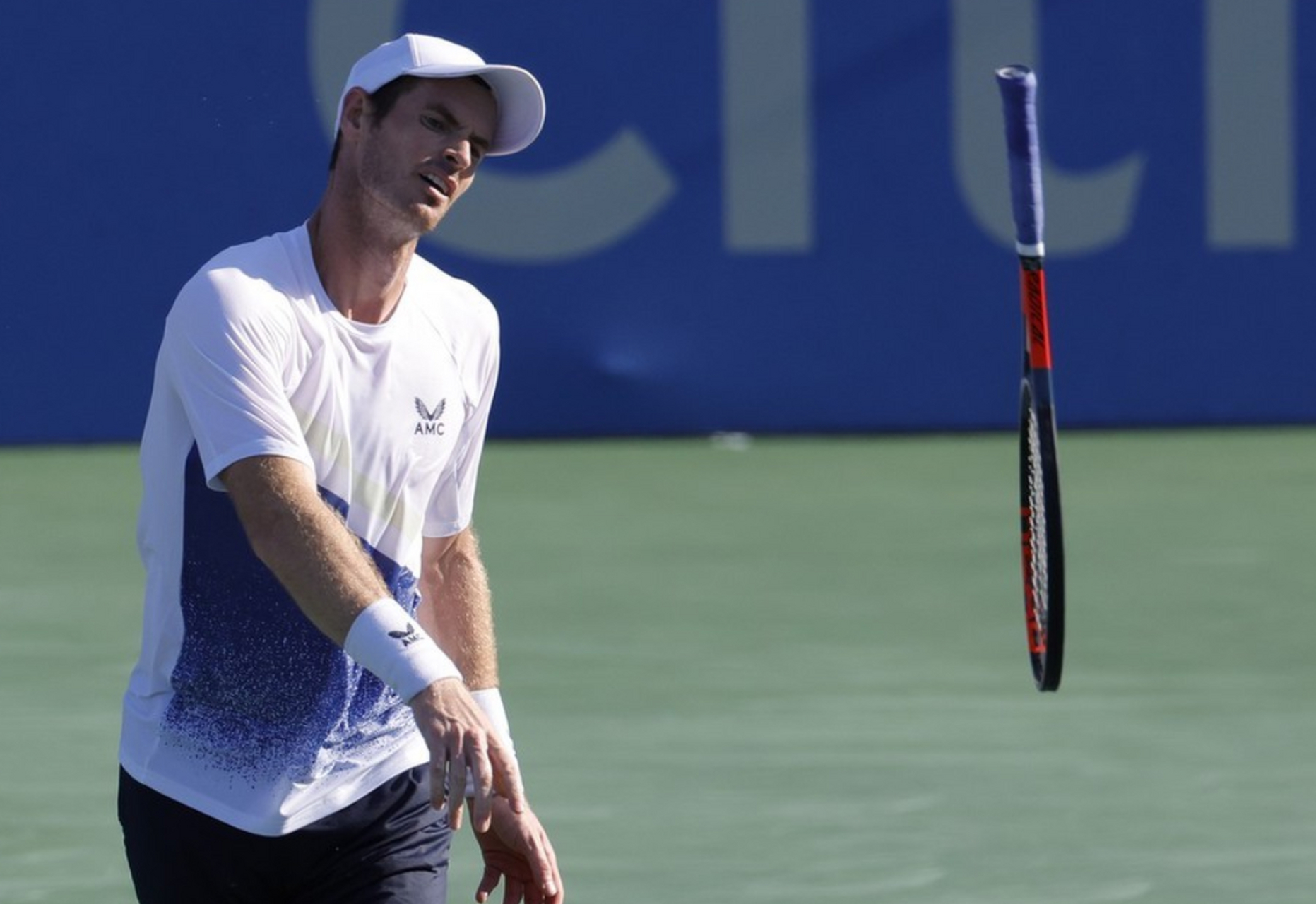 ATP总决赛翻盘美网，穆雷惊艳四座