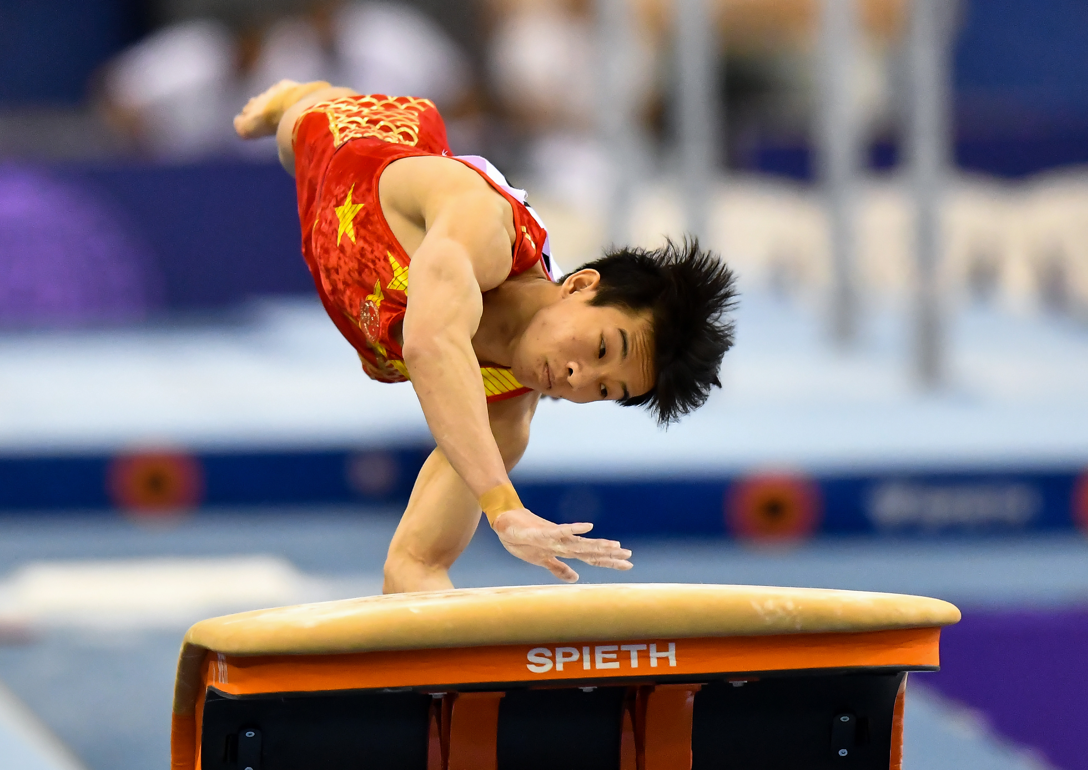 跳马选手表现稳定，备战全力冲刺