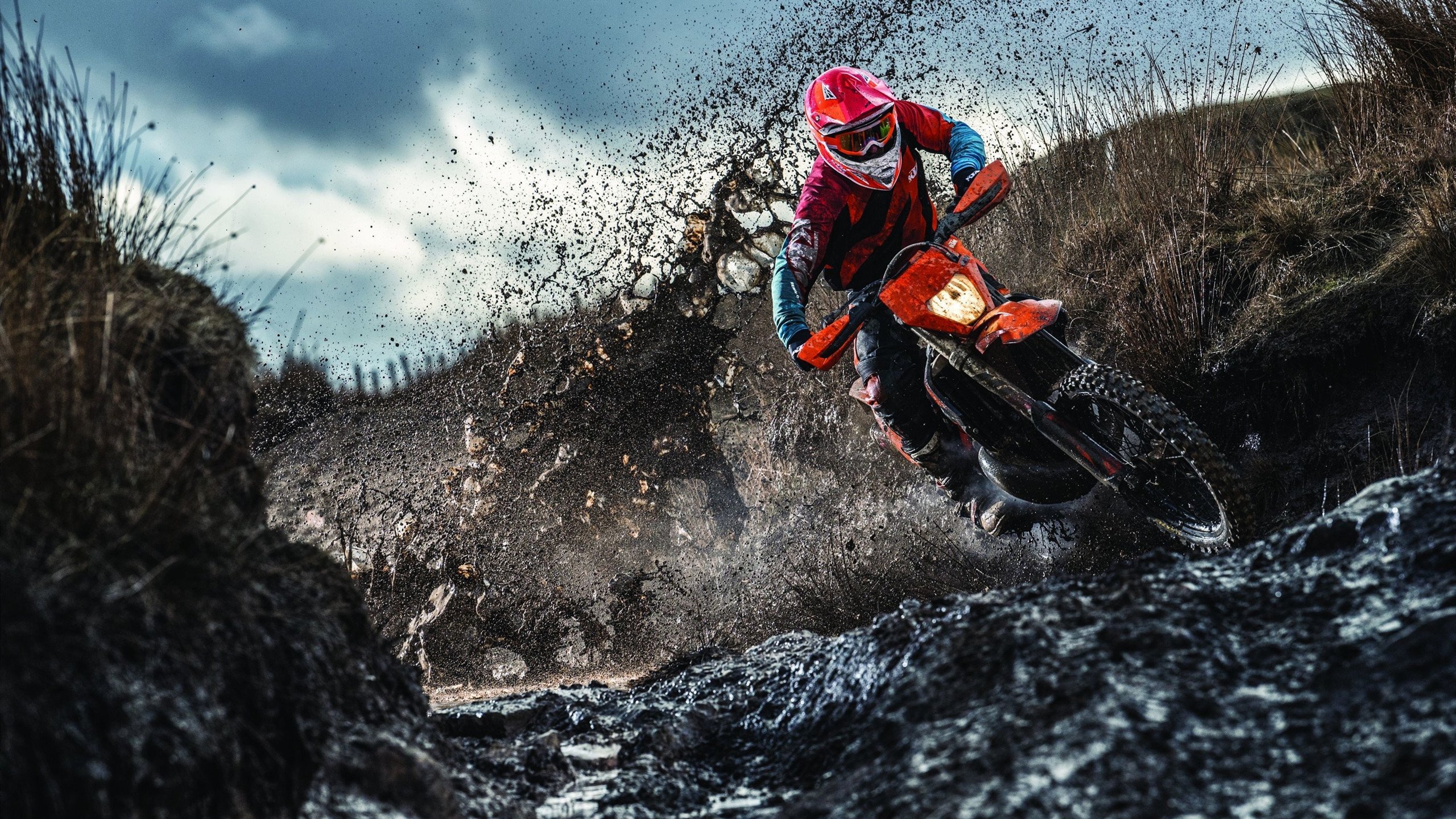 双城记，鹈鹕的末节风暴与恩比德的德甲接管之夜